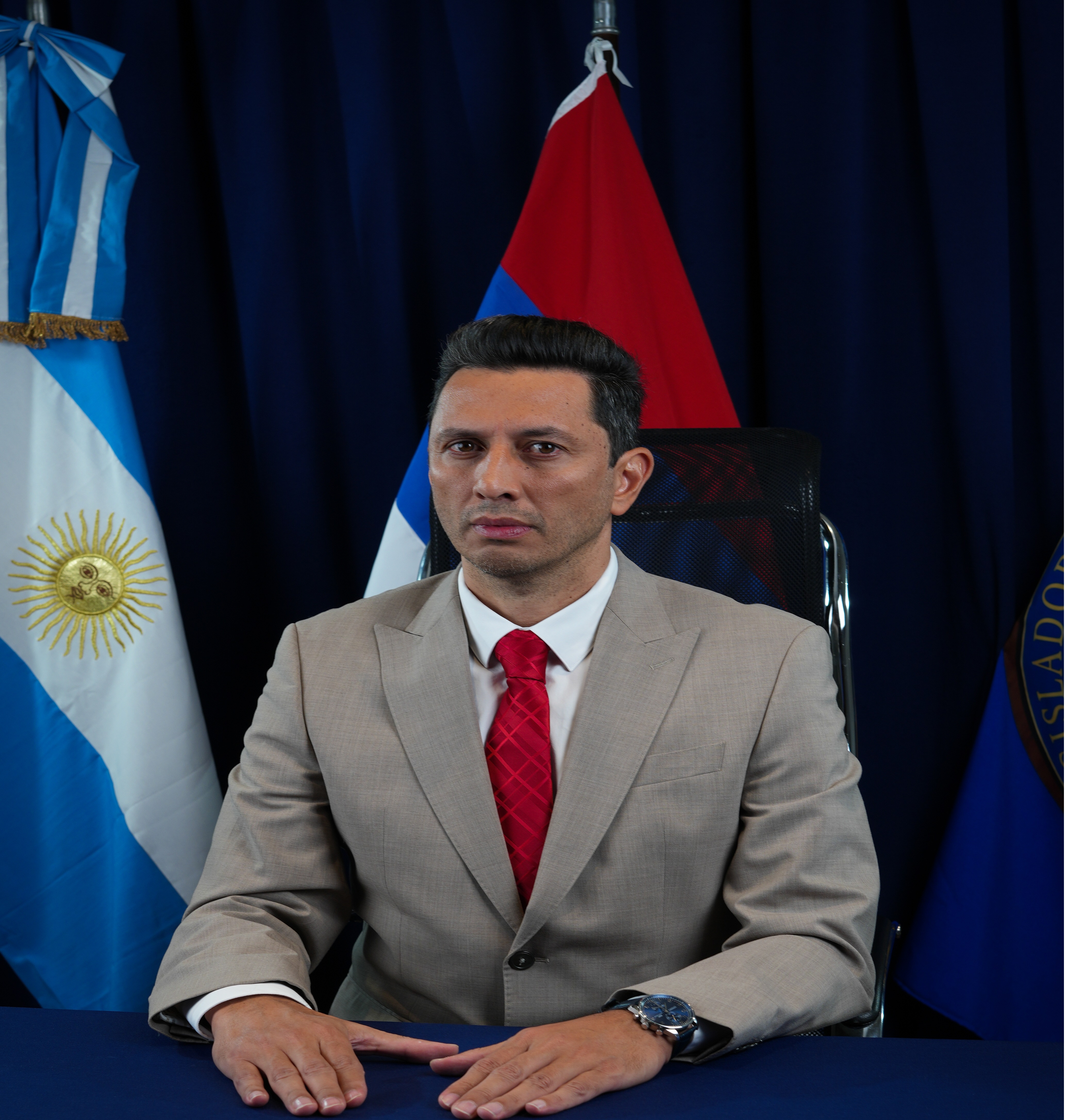 Vice Presidente I